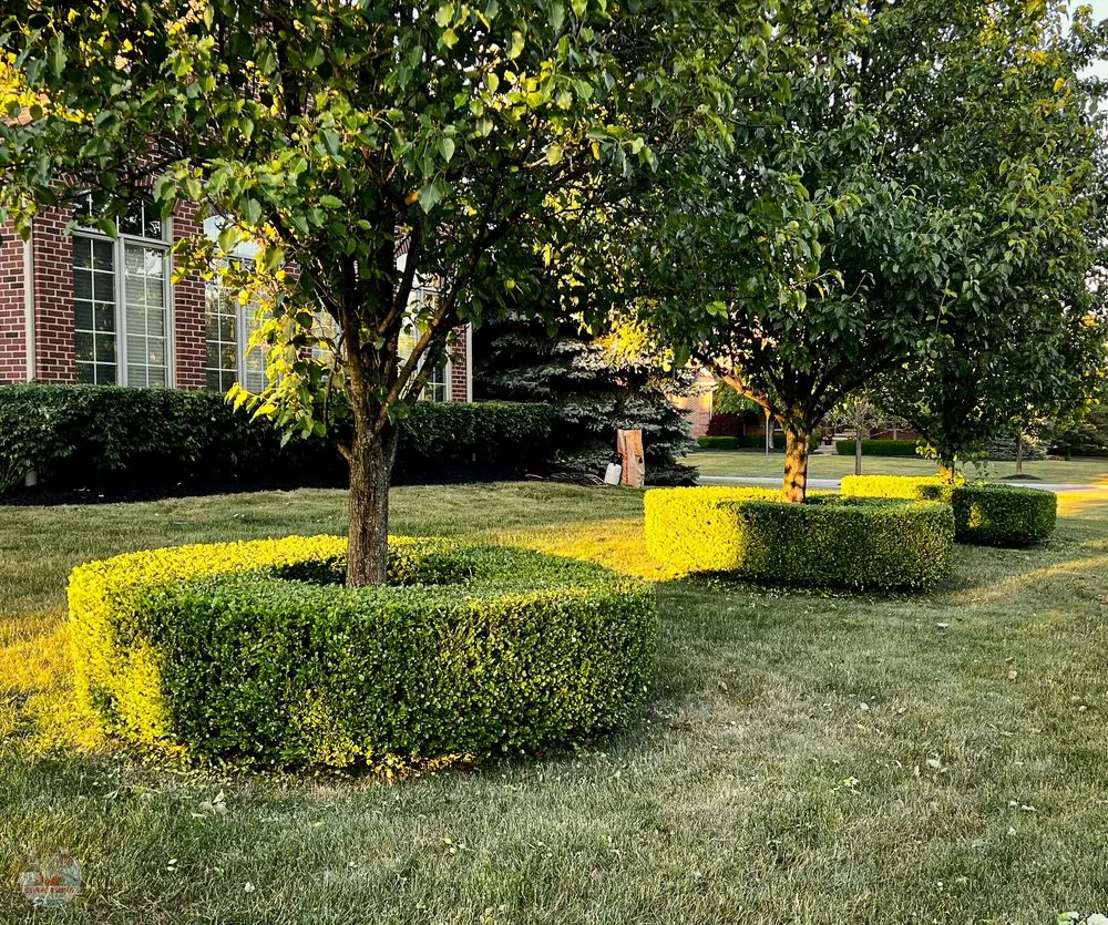 Top-rated residential landscaping for year-round maintenance across Brighton, MI - Cornerstone Outdoors