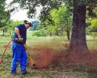 Affordable yard cleanup service with custom design across Elgin, IL - Cornerstone Partners Horticultural Services Company