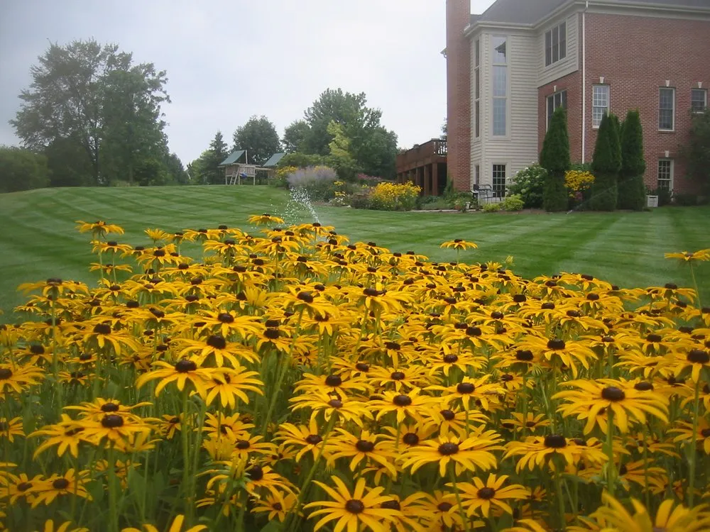 Local yard cleanup service in Elgin, IL - Cornerstone Partners Horticultural Services Company