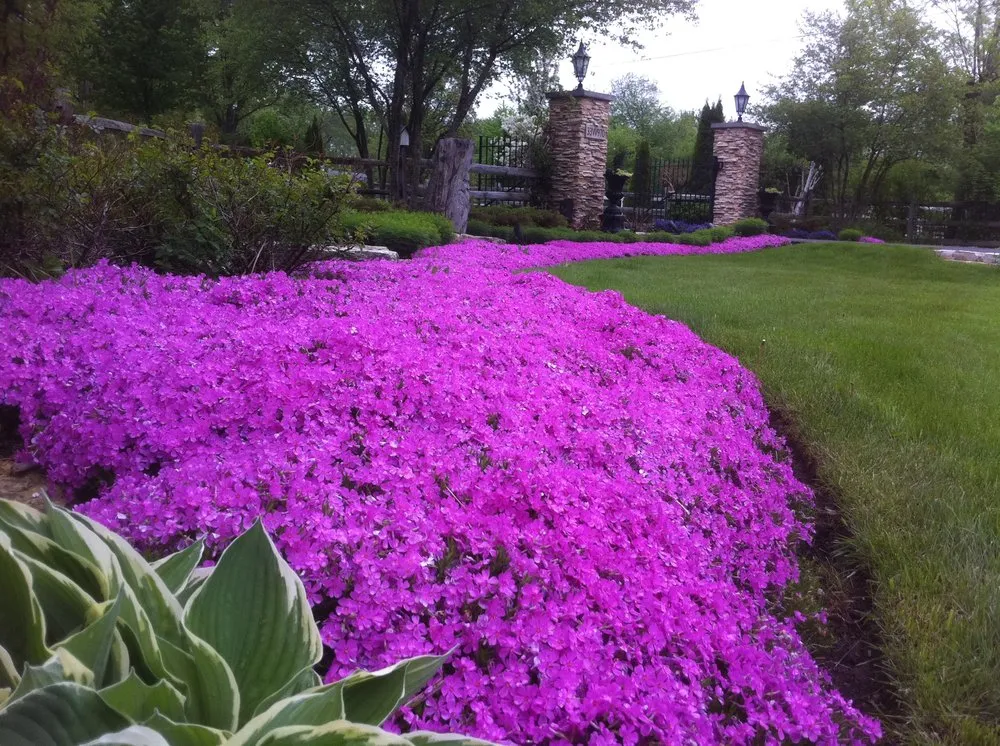 Reliable landscaping services in Elgin, IL by Cornerstone Partners Horticultural Services Company