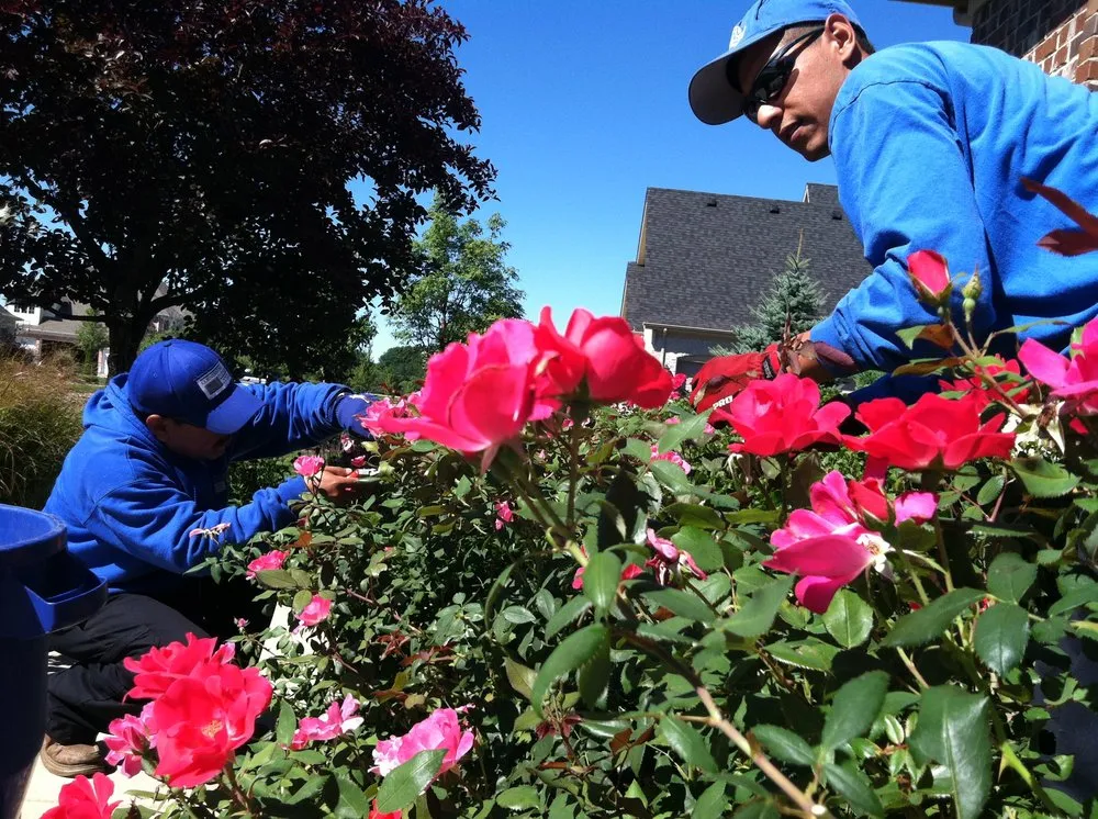 Top-rated outdoor landscaping in Elgin, IL - Cornerstone Partners Horticultural Services Company