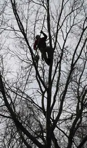 Affordable lawn mowing service for year-round maintenance across Elgin, IL - Cornerstone Partners Horticultural Services Company