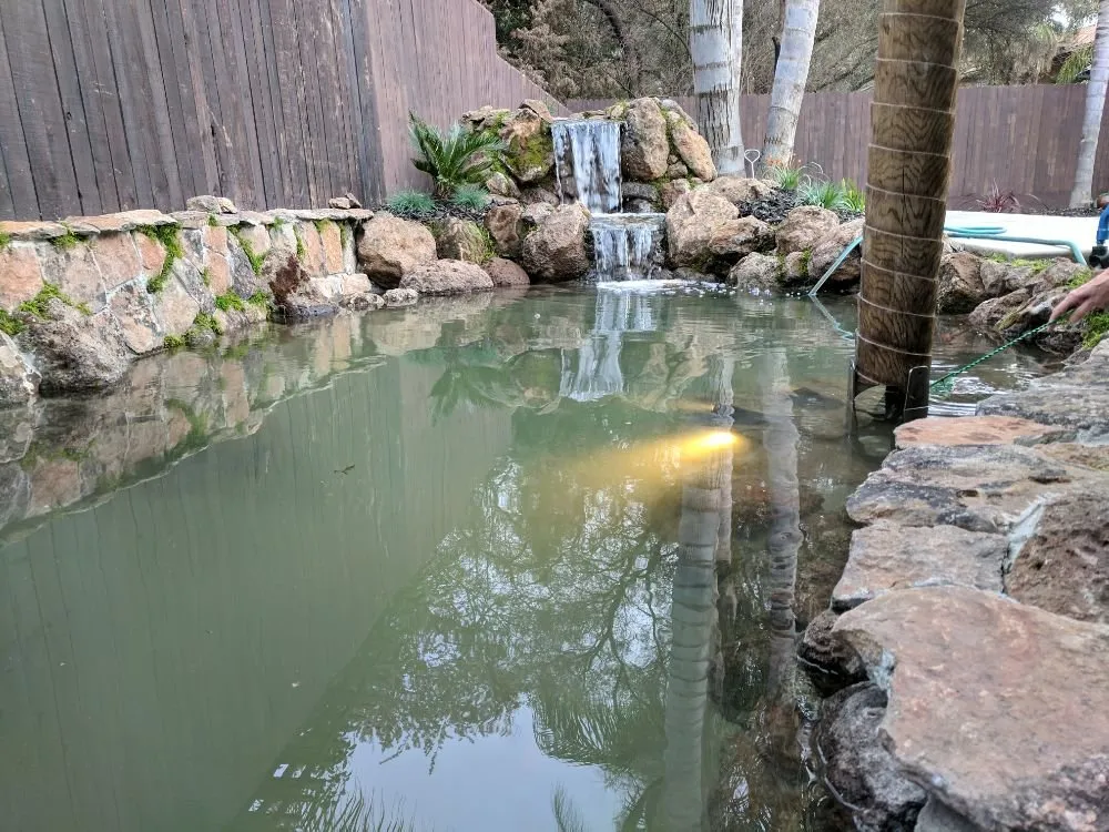 Top-rated yard cleanup service in Orangevale, CA by Cornerstone Ponds and Waterfalls