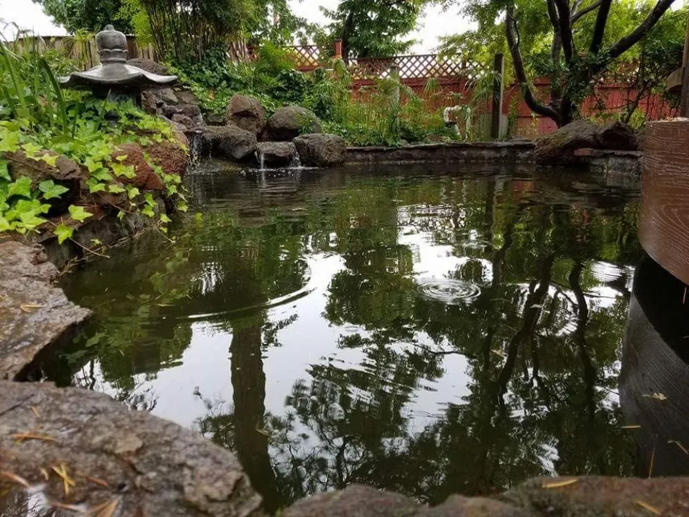 Affordable yard maintenance experts serving Orangevale, CA - Cornerstone Ponds and Waterfalls