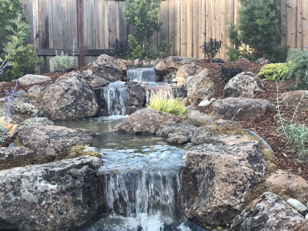 Professional yard cleanup service for beautiful yards across Orangevale, CA - Cornerstone Ponds and Waterfalls