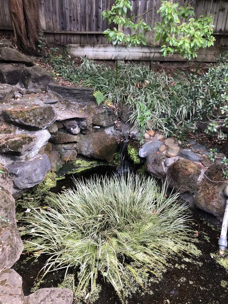 Expert landscape design in Orangevale, CA by Cornerstone Ponds and Waterfalls