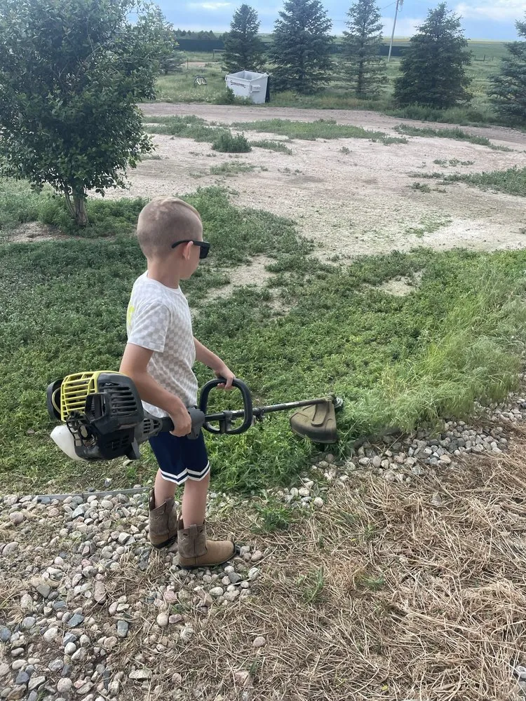 Custom yard cleanup service near you in Galeton, CO by Cornerstone Services