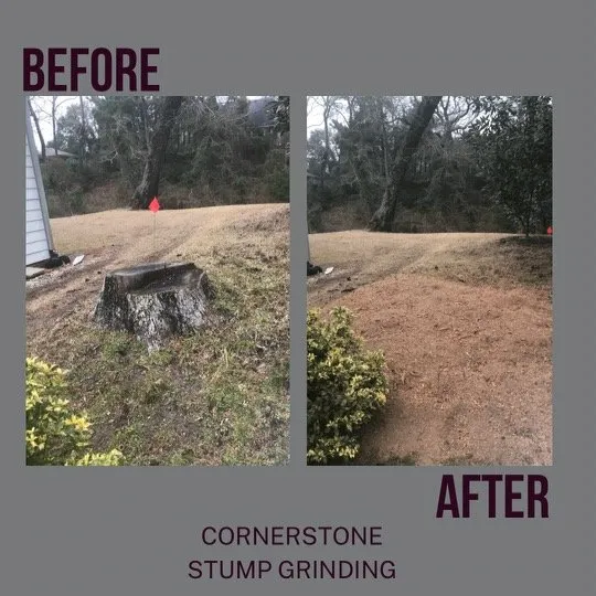 Affordable yard cleanup service in Jacksonville, FL - Cornerstone Stump Grinding