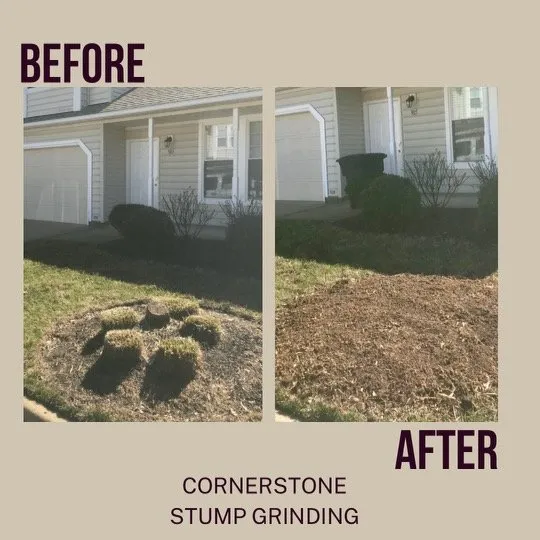 Top-rated landscaping services in Jacksonville, FL - Cornerstone Stump Grinding