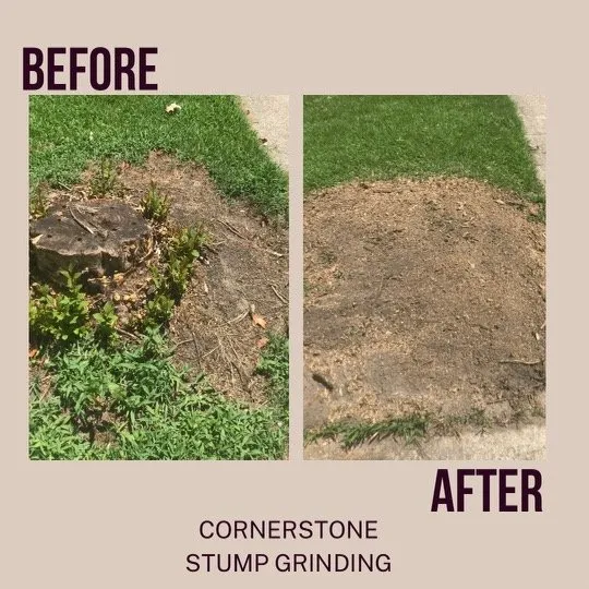 Trusted outdoor landscaping experts serving Jacksonville, FL - Cornerstone Stump Grinding
