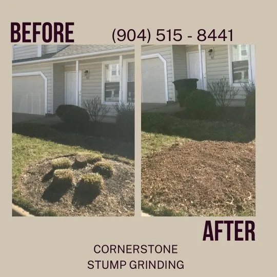 Affordable lawn care service for beautiful yards across Jacksonville, FL - Cornerstone Stump Grinding