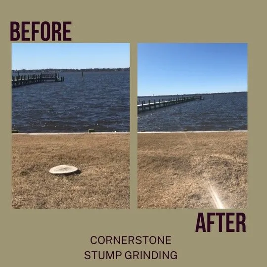 Local landscape design for beautiful yards across Jacksonville, FL - Cornerstone Stump Grinding