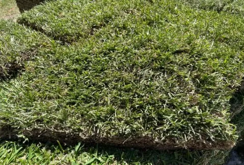 Custom yard maintenance in Houston, TX - Cornett Grass