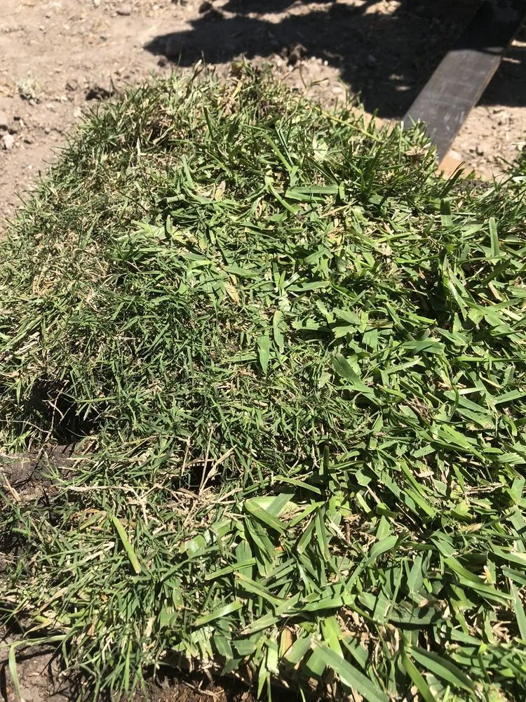 Reliable residential landscaping experts serving Houston, TX - Cornett Grass