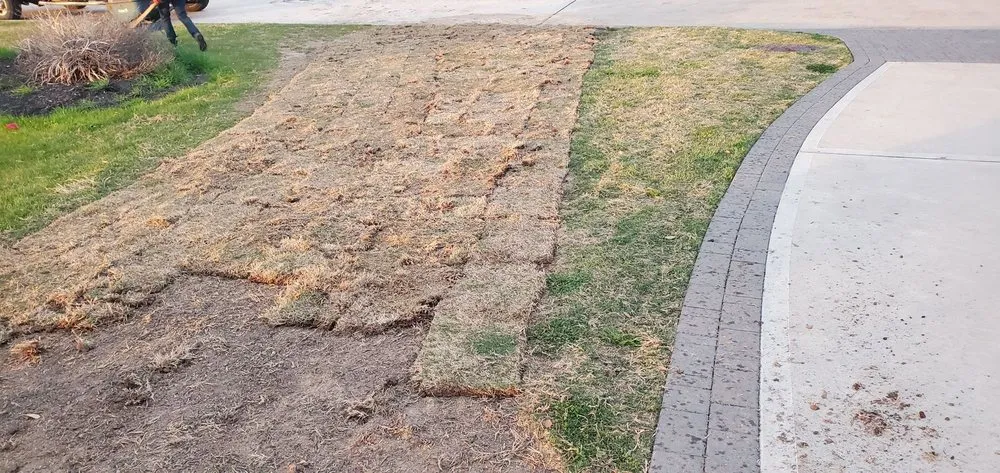 Reliable yard maintenance for homes in Houston, TX by Cornett Grass