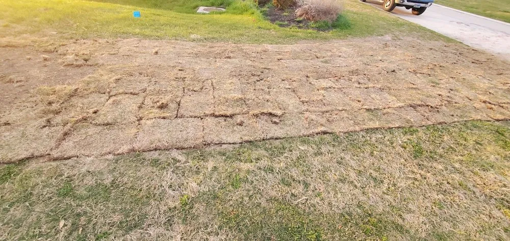 Trusted landscape design with custom design across Houston, TX - Cornett Grass