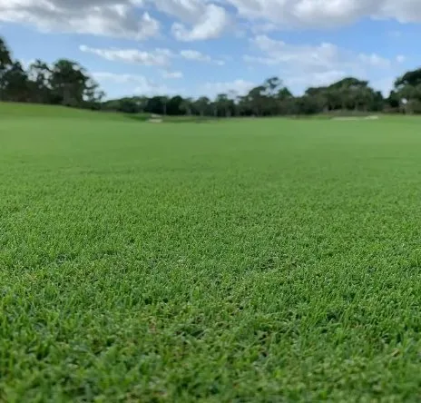 Custom yard maintenance experts serving Houston, TX - Cornett Grass