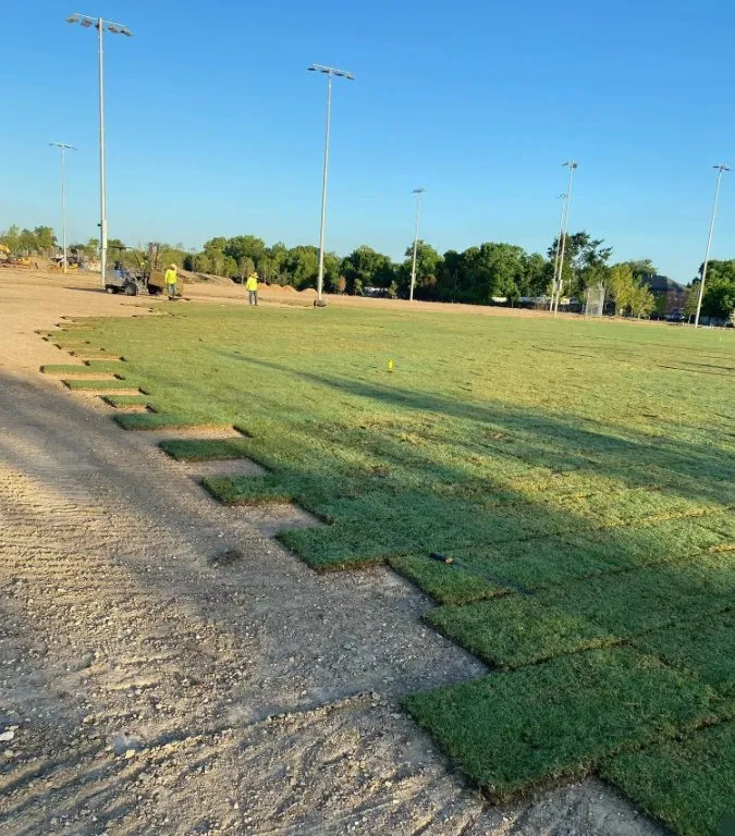 Reliable residential landscaping in Houston, TX - Cornett Grass