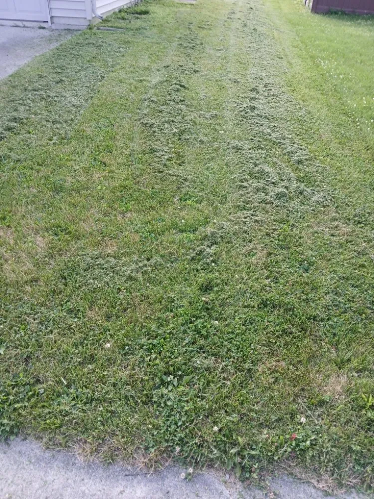 Top-rated lawn mowing service for beautiful yards across Decatur, IN - Cornett Side Jobs