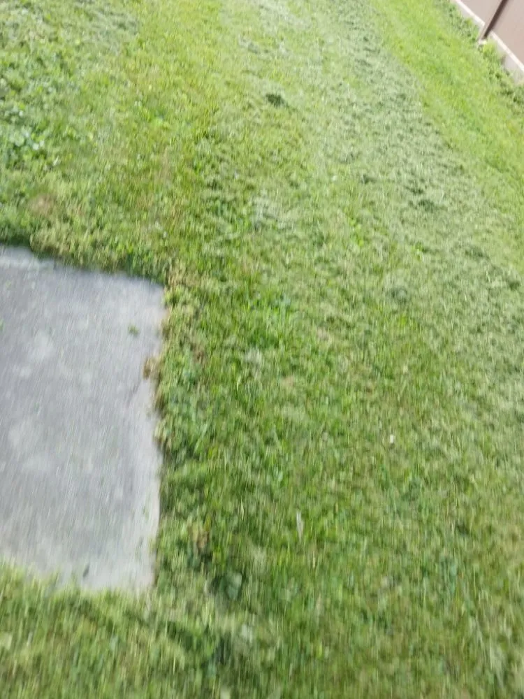 Affordable outdoor landscaping in Decatur, IN - Cornett Side Jobs