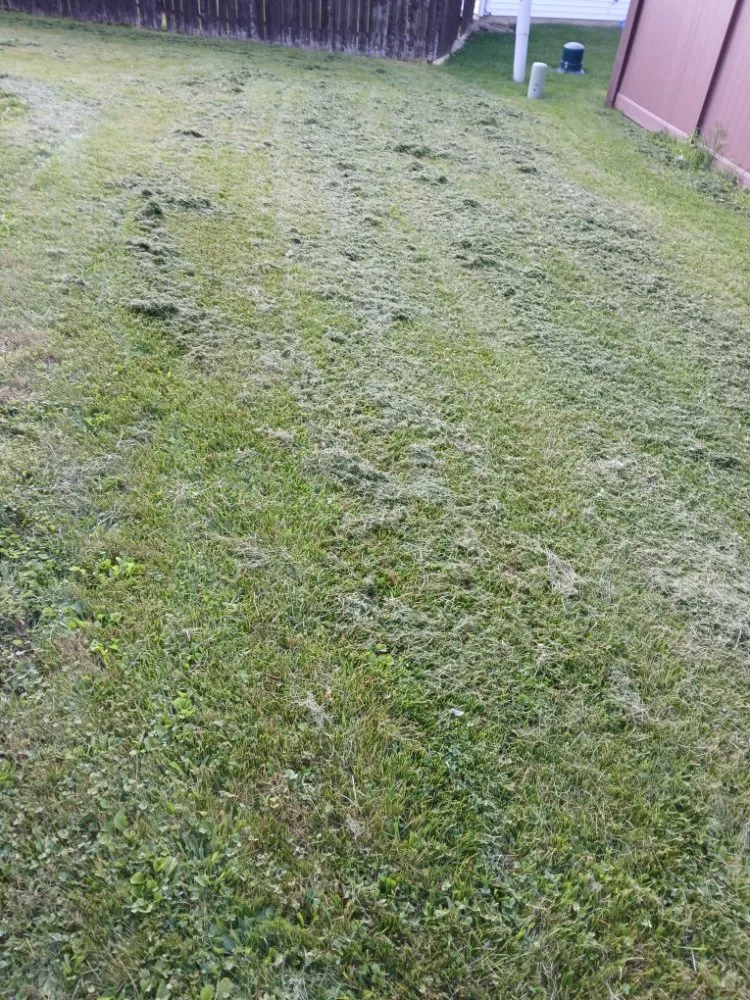 Local landscape design experts serving Decatur, IN - Cornett Side Jobs