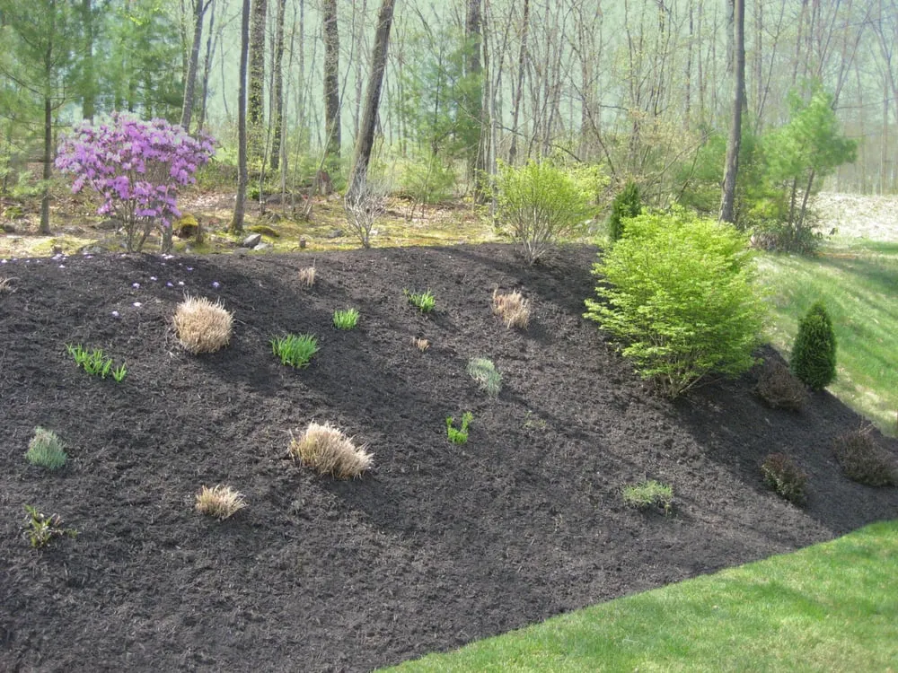 Expert residential landscaping experts serving South Grafton, MA - Corning Landscape, LLC