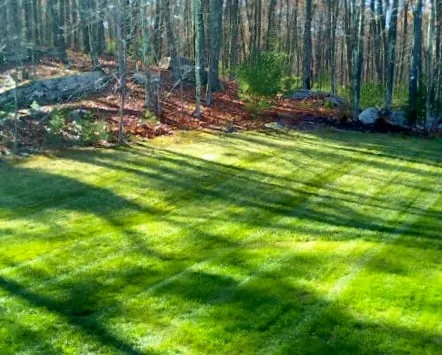 Trusted landscaping services in South Grafton, MA by Corning Landscape, LLC