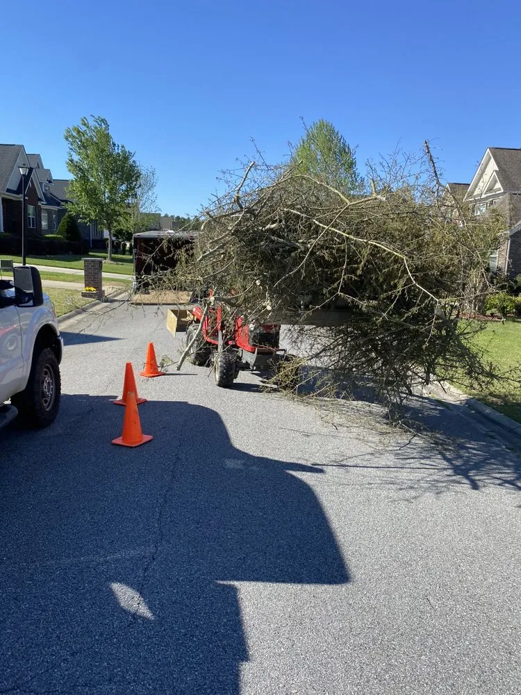 Local landscape design for outdoor upgrades in Columbia, SC by Cornish Landscaping