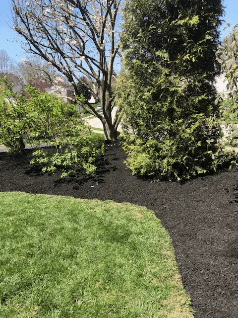 Trusted garden landscaping experts serving Lansdowne, PA - Cornish Landscaping