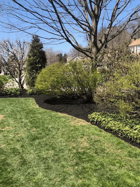 Top-rated garden landscaping for residential properties across Lansdowne, PA - Cornish Landscaping