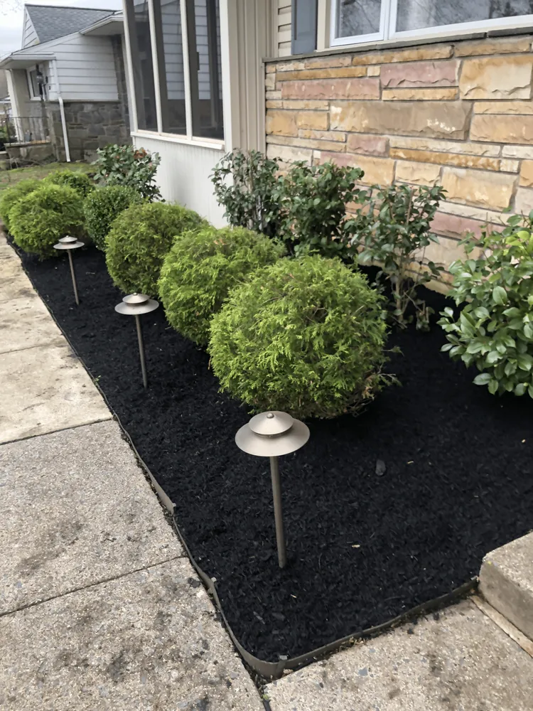 Trusted yard cleanup service for year-round maintenance across Lansdowne, PA - Cornish Landscaping