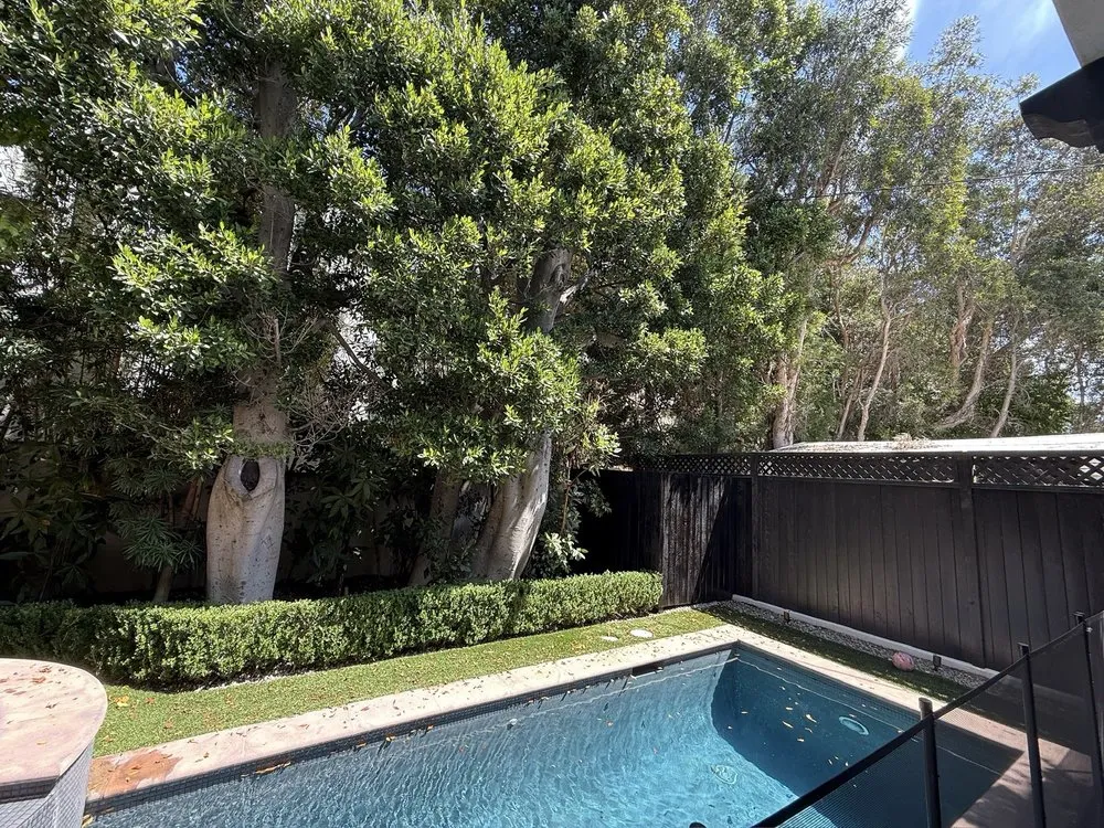 Local landscape installation in Los Angeles, CA by Corona Artscaping