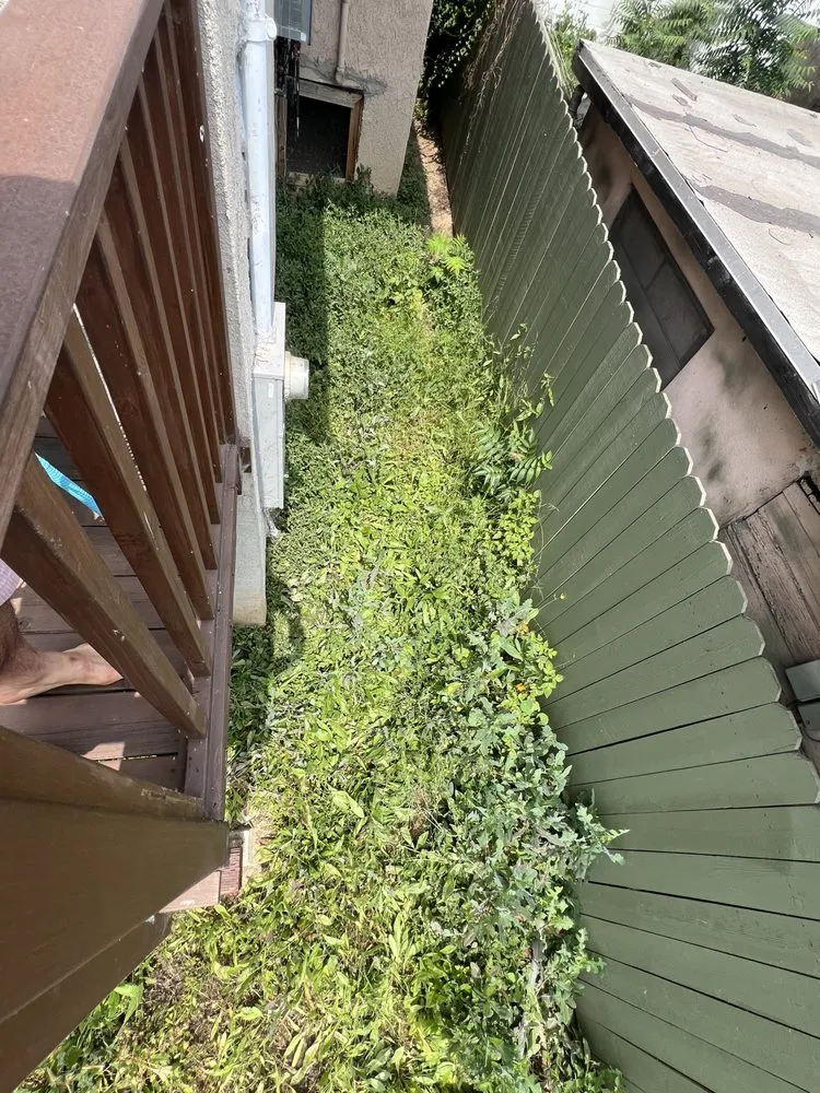 Reliable landscape installation in Los Angeles, CA - Corona Artscaping