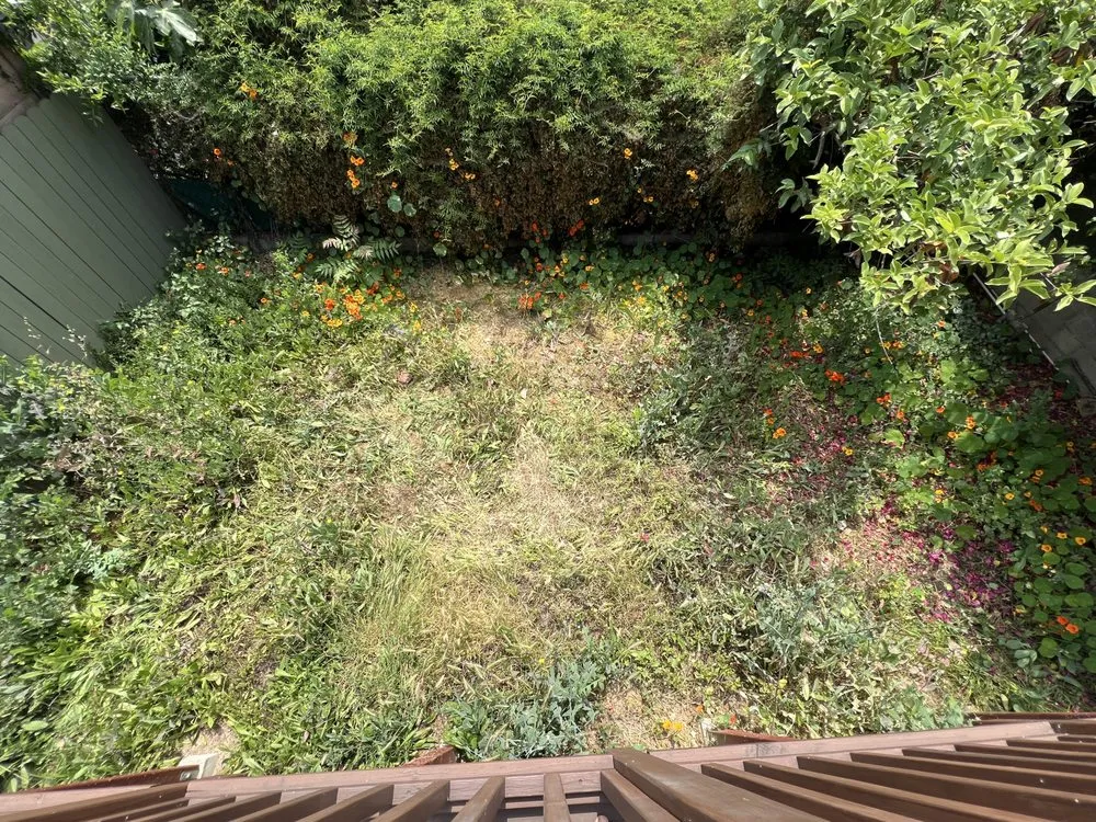 Local landscape design experts serving Los Angeles, CA - Corona Artscaping