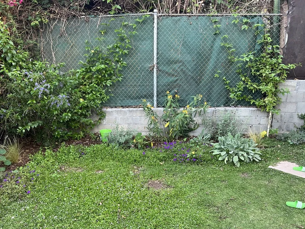 Local lawn care service in Los Angeles, CA by Corona Artscaping