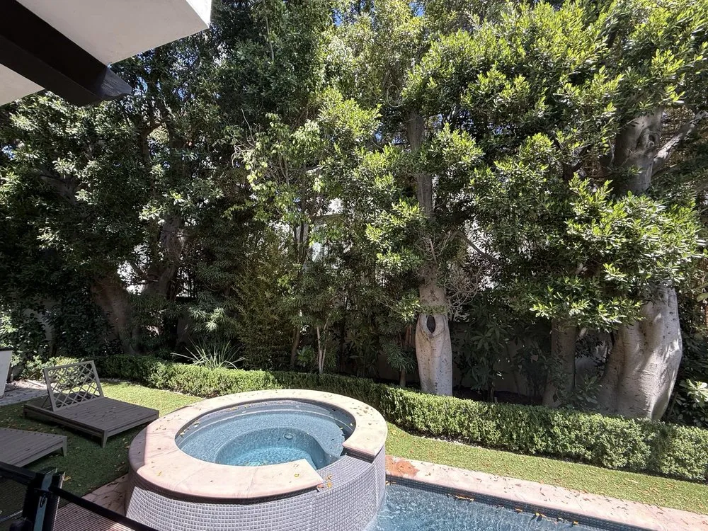 Reliable outdoor landscaping with custom design in Los Angeles, CA by Corona Artscaping