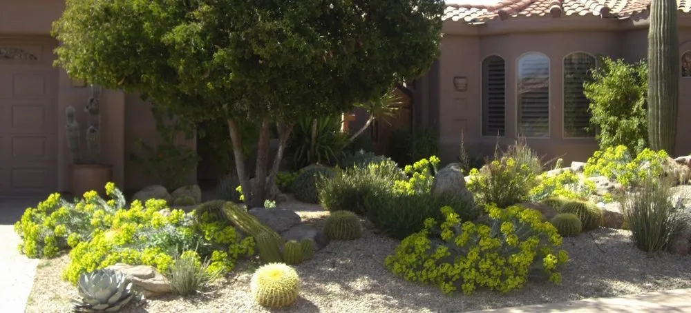 Local landscaping services in Gilbert, AZ - Corona Landscape