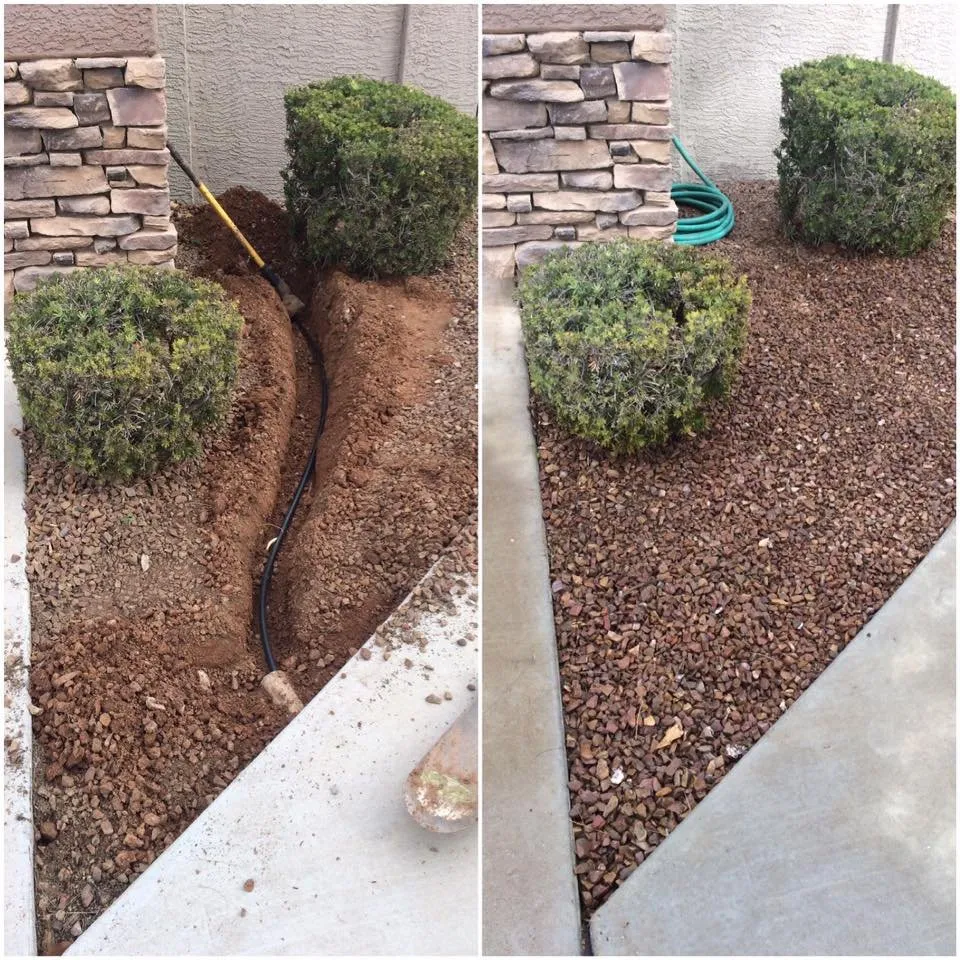 Local residential landscaping in Gilbert, AZ - Corona Landscape
