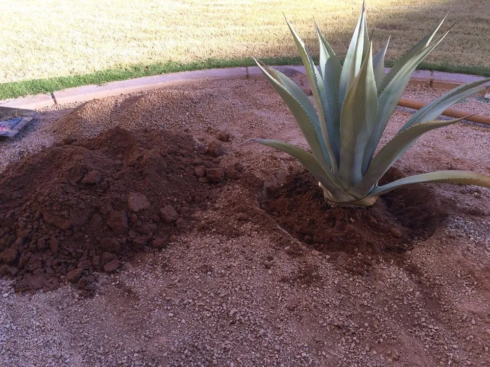 Custom lawn mowing service with custom design across Gilbert, AZ - Corona Landscape