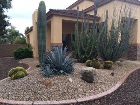 Local yard maintenance in Gilbert, AZ by Corona Landscape