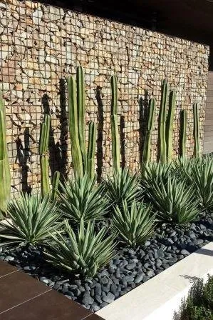 Top-rated landscape design in Gilbert, AZ - Corona Landscape