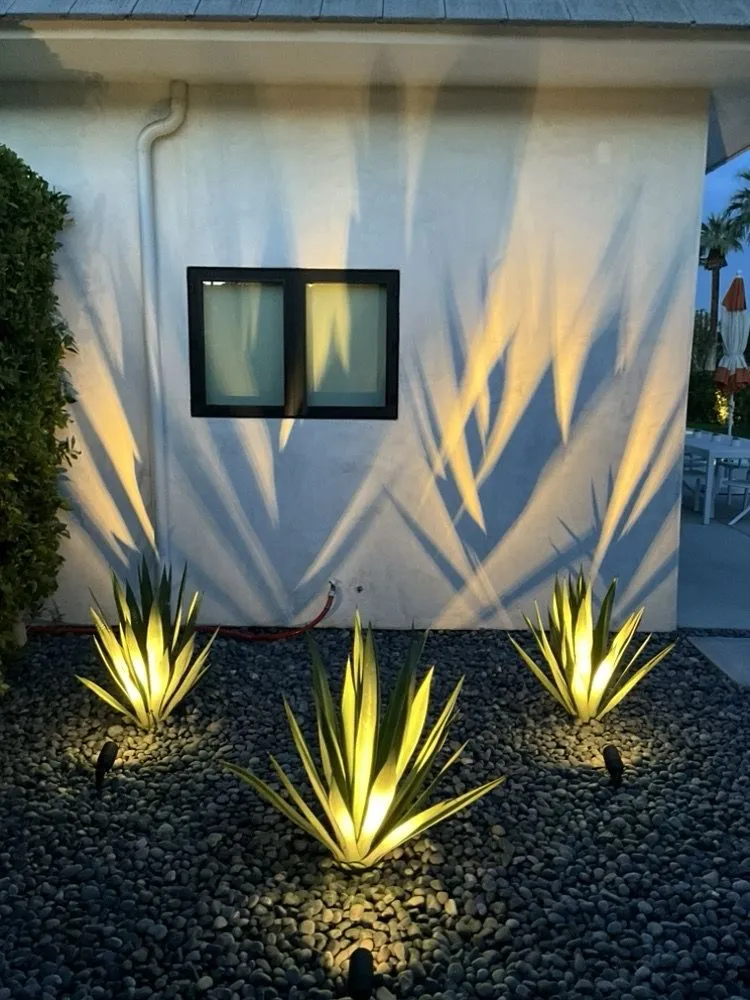 Top-rated lawn care service in Thousand Palms, CA - Corona Landscape MGMT