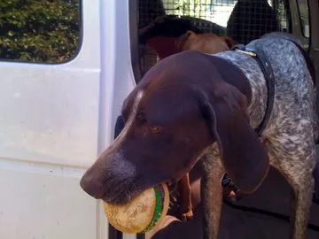 Professional outdoor landscaping in Thousand Palms, CA - Corona Landscape MGMT