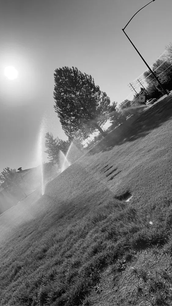 Top-rated yard maintenance experts serving Nampa, ID - Corona Landscape