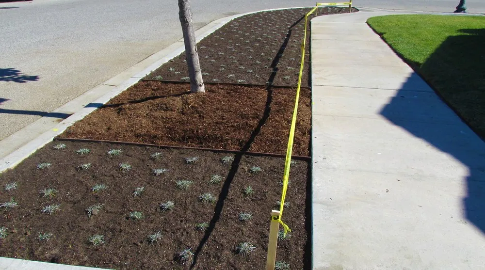 Reliable landscape installation for beautiful yards in Oxnard, CA by Corona Landscape