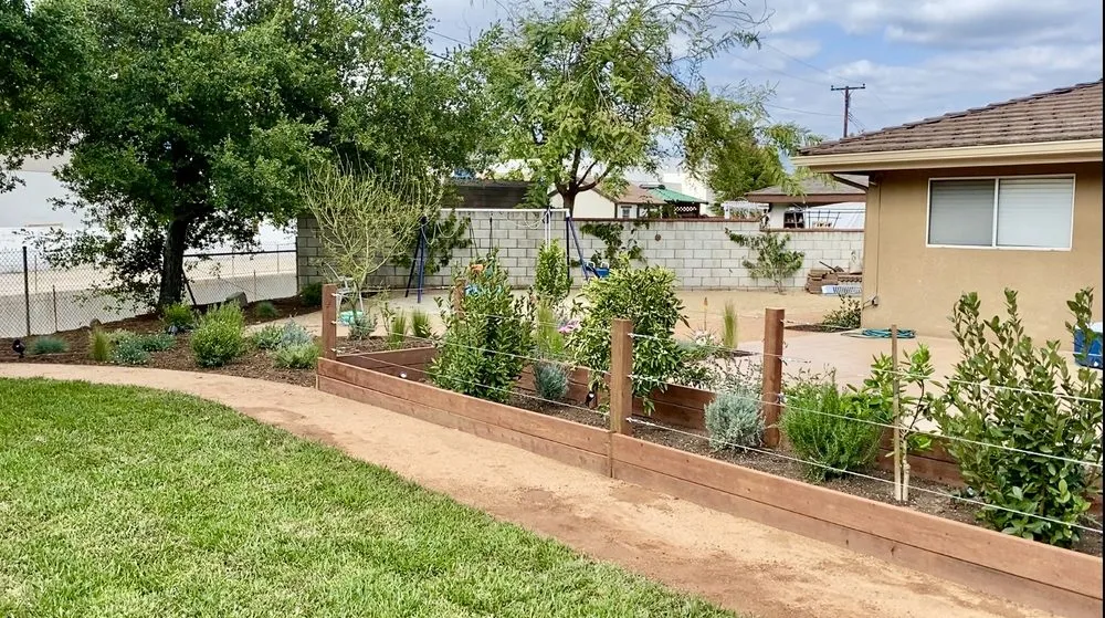 Trusted lawn care service for beautiful yards in Newport Beach, CA by Corona Landscaping and Design