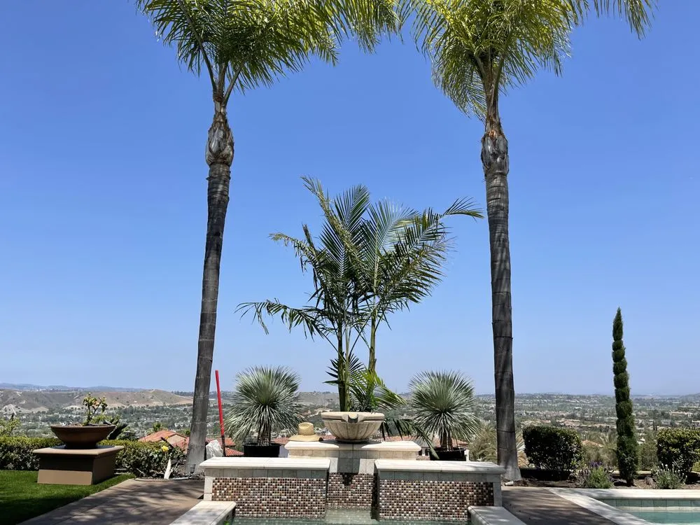 Top-rated landscaping services in Newport Beach, CA - Corona Landscaping and Design