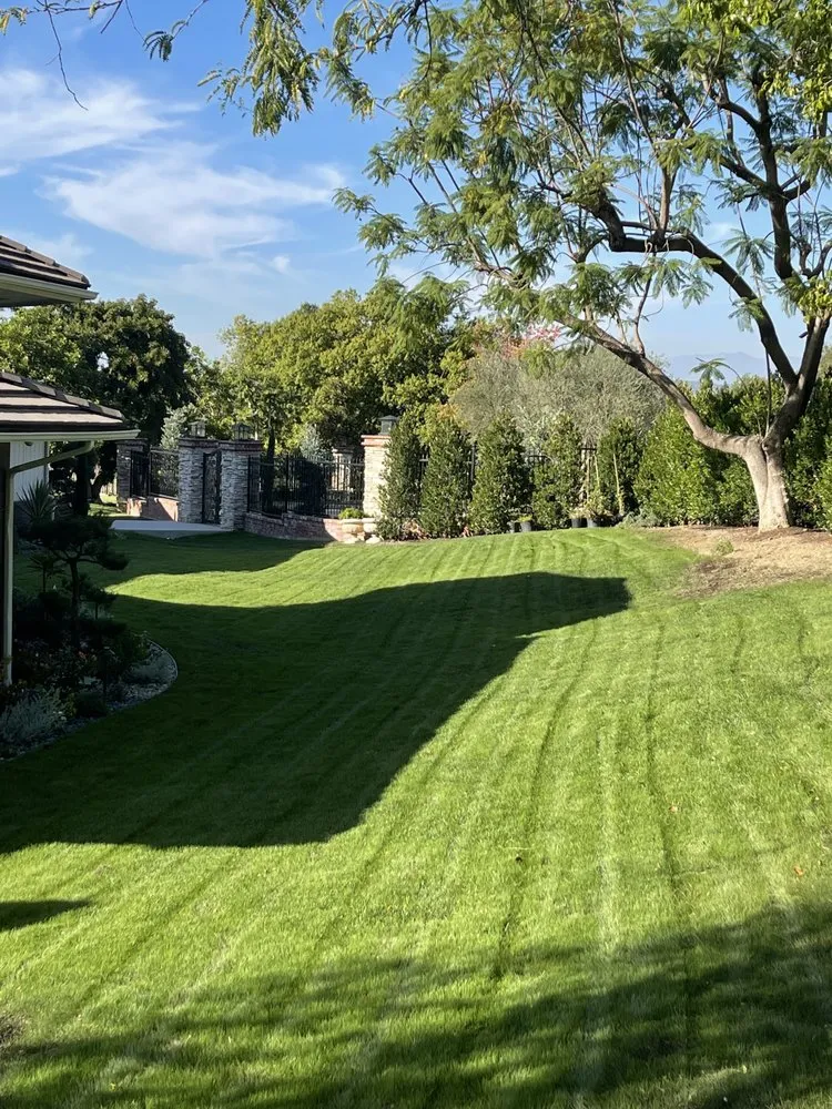 Reliable garden landscaping near you in Newport Beach, CA by Corona Landscaping and Design
