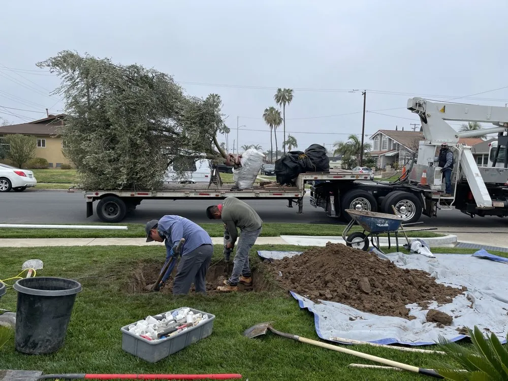 Affordable yard cleanup service with custom design in Newport Beach, CA by Corona Landscaping and Design