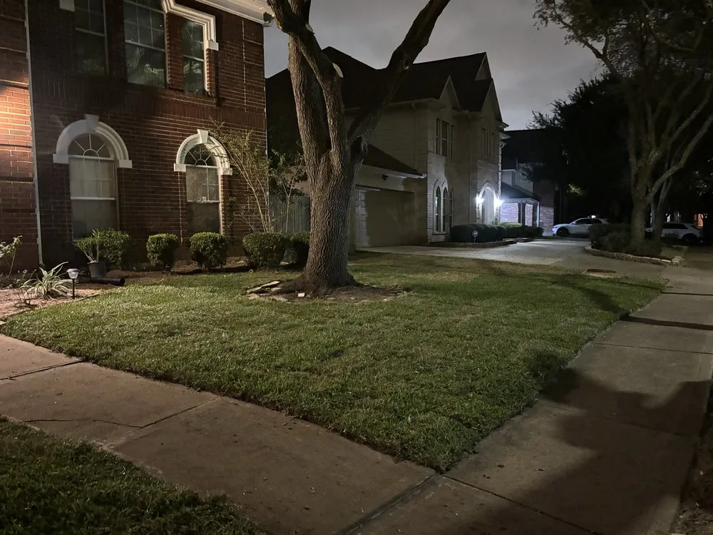 Trusted lawn mowing service in Houston, TX - Corona Landscaping